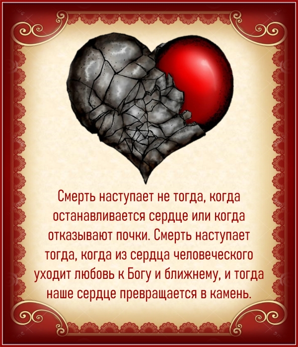 Цитата